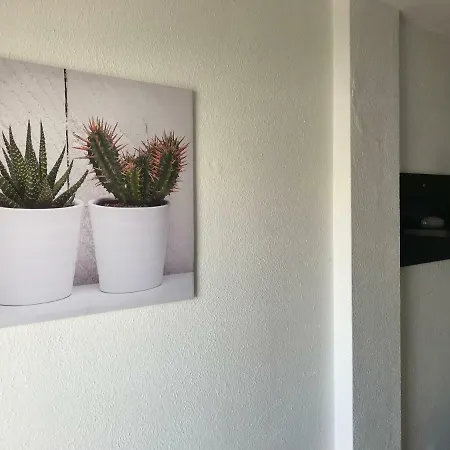 شقة Cactus Pool View