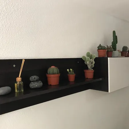 Cactus Pool View شقة *